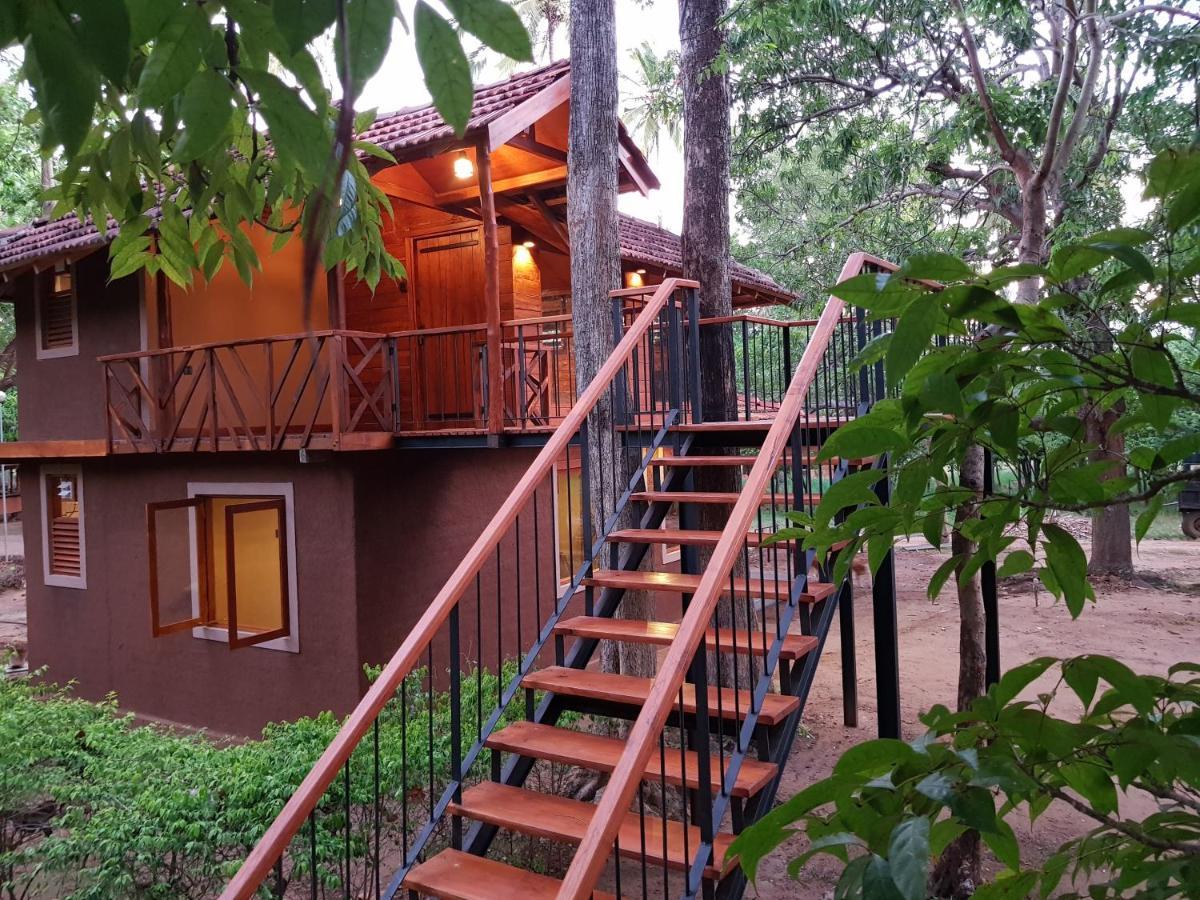 Eco Village Kalundewa Dambulla Exterior photo