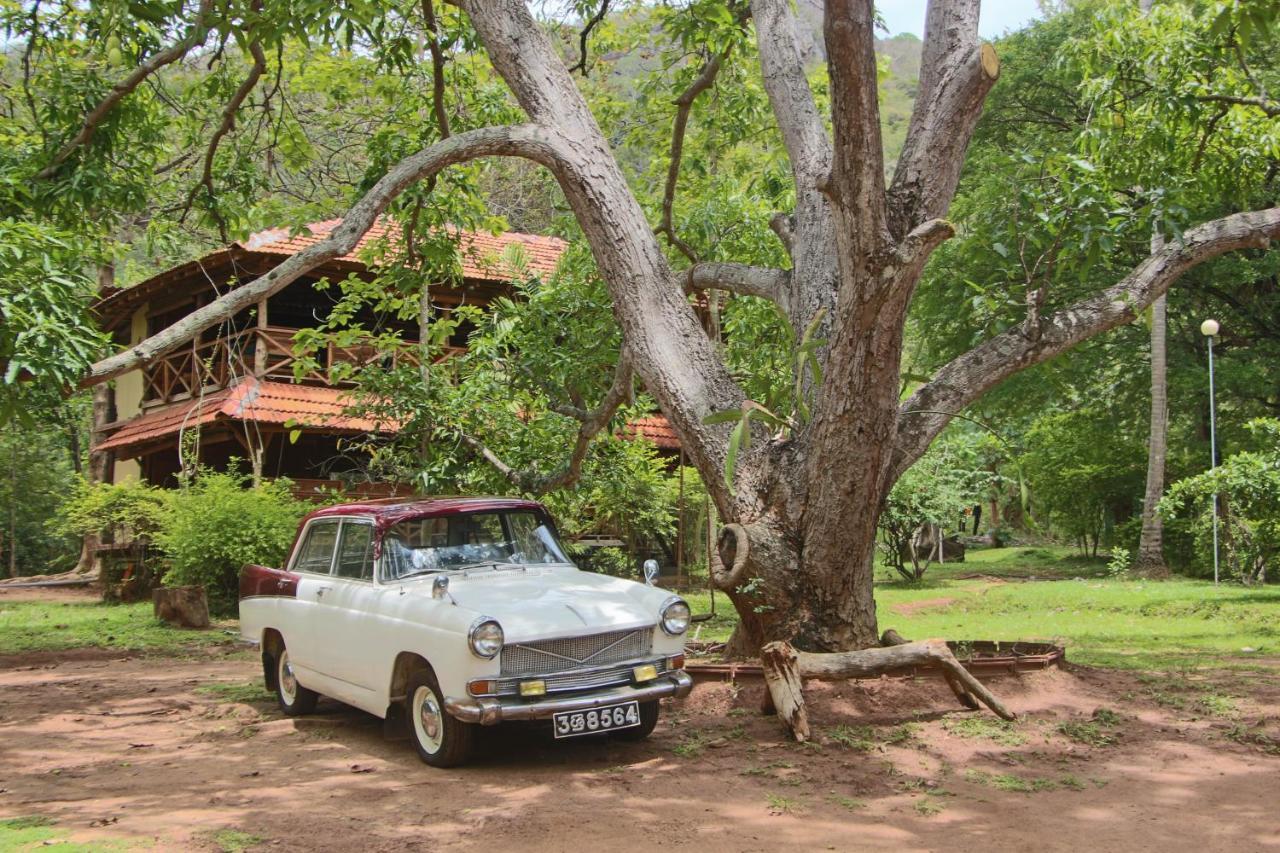 Eco Village Kalundewa Dambulla Exterior photo
